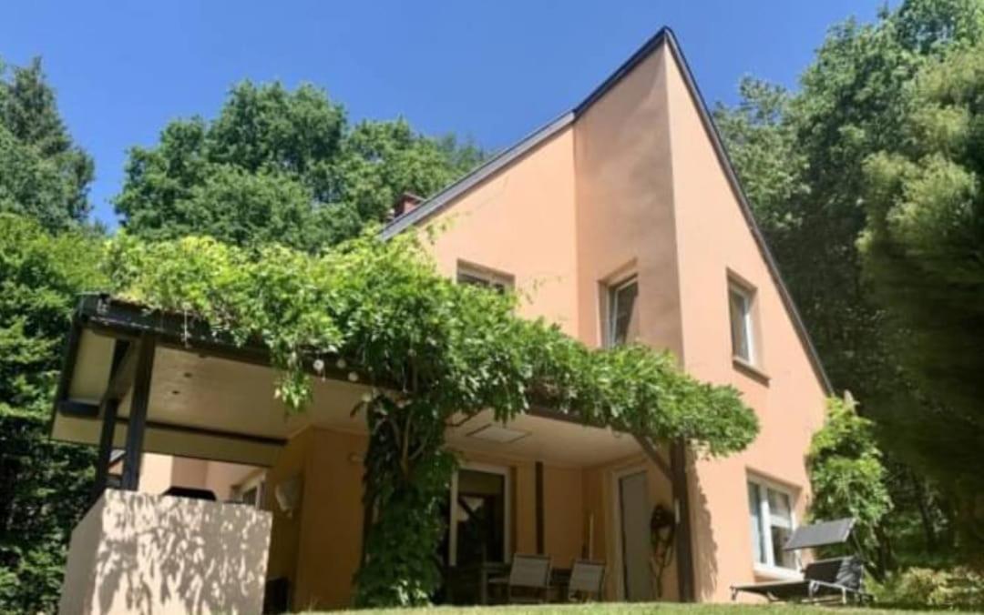 La Fontaine Aux Enfants - Gr5 - Chambre Avec Sdb Privee Abreschviller Eksteriør billede